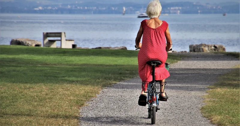 Quelles sont les 10 activités les plus rentables ?